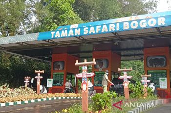 Liburan ke Taman Safari, diimbau beli tiket online