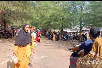 Destinasi Pohon Seribu Sasak jadi favorit di Pasaman Barat