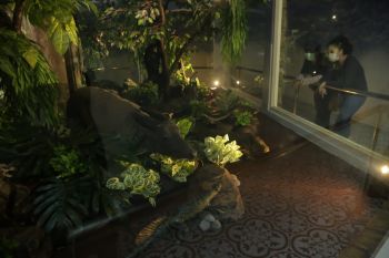Kebun Binatang Surabaya buka dua wahana baru saat libur Lebaran