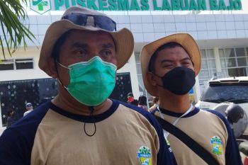 BMKG catat 148 kejadian gempa bumi terjadi di Laut Flores