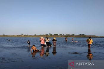 Sebanyak 48.048 wisatawan berwisata di Pantai Glagah dalam empat hari