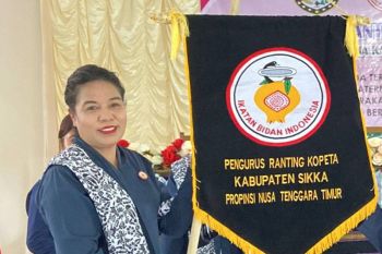IBI dorong peran bidan atasi masalah kekerdilan