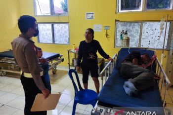 Pengendara mobil tewas tertimpa pohon tumbang di Bengkulu