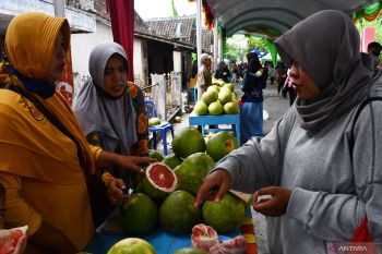 Gebyar Kampoeng Pamelo Magetan