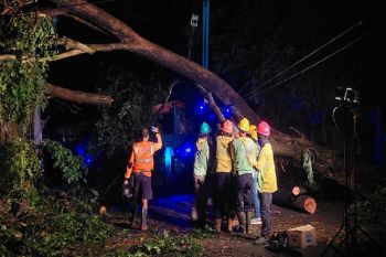 PLN pulihkan listrik pasca-gangguan cuaca di Solo dan sekitarnya