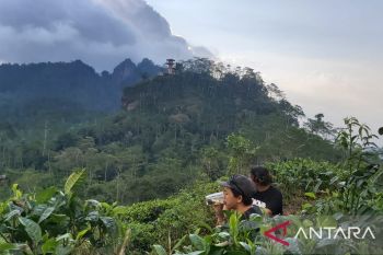 PAD pariwisata di Kulon Progo selama libur Lebaran mencapai Rp738,58 juta