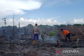 BPBA: Di Aceh Selatan terjadi karhutla  terpantau tiga titik panas