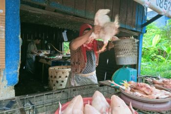 Sejumlah harga bahan pokok Pekanbaru masih tinggi selepas lebaran
