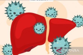 Dinkes Bone imbau masyarakat waspadai penularan hepatitis akut