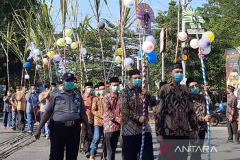 "Temanten tebu", bertahannya tradisi jelang musim giling