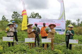 Pemkab Kotim dukung petani muda kembangkan semangka berskala besar