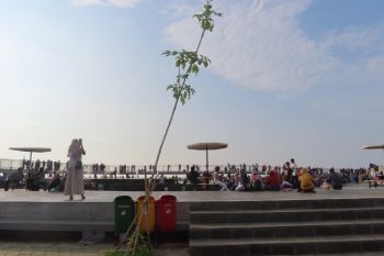 Realisasi PAD Taman Wisata Laut Pekalongan capai Rp2,9 M