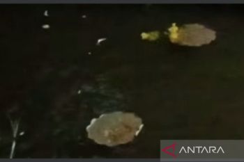 Pemkab Agam tegur pedagang buang sampah ke selokan viral di Medsos