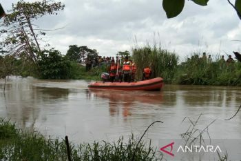 Tim SAR gabungan belum temukan  lansia hilang diterkam buaya di Koltim
