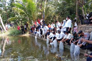 DKP Kulon Progo tebar ikan jaga pelestarian ekosistem perairan