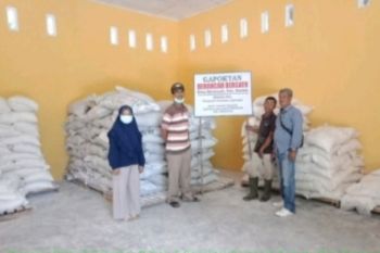 82 Poktan di Bengkalis terima bantuan dari Pemerintah