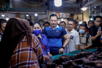 Annisa Pohan borong ikan teri medan di Pusat Pasar Medan