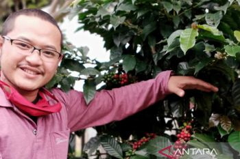 Petani milenial berhasil pasarkan kopi ke pasar dunia mencapai 100 ton/tahun