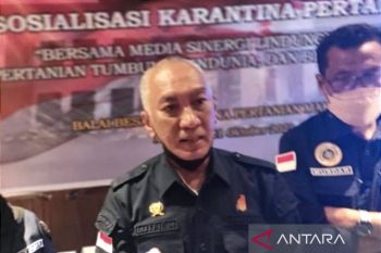 BBKP Makassar sebut stok daging sapi aman saat Idul Adha 1443 H