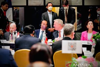 US CEOs should build concrete cooperation through G20: Jokowi