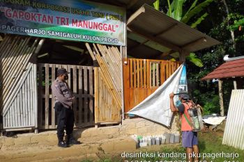 DPP Kulon Progo menemukan penyakit mulut dan kuku di Pandowan