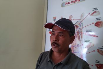 Peternak di Payakumbuh diminta melapor ke Dinas Pertanian jika ternaknya terindikasi PMK
