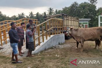 Kulon Progo mengawasi lalu lintas ternak di Pasar Hewan Pengasih