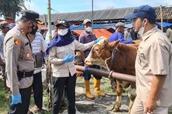 Kapolres Temanggung cek pasar hewan