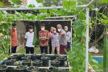 Mahasiswa Jepang kunjungi lahan penelitian "urban farming" Unsri