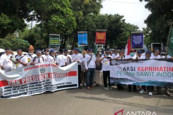 Petani sawit sampaikan lima tuntutan  kepada pemerintah