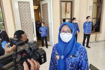 Lampung terus lakukan penelusuran kasus PMK