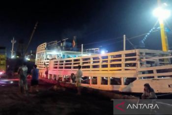 Babel pastikan pasokan sapi dari Lampung untuk Idul Adha aman