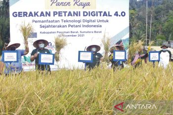 Periode Januari-April 2022, produksi padi di Pasbar capai 43.011 ton