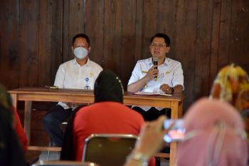 Wakil Bupati Sleman mendorong partisipasi perempuan di politik