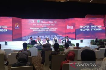 Road to G20: BKPM maps 47 sustainable investment projects