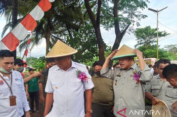 Kementan dorong petani Sulawesi Utara terus membudidayakan kelapa