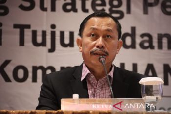 Komnas HAM: Revisi UU Pengadilan HAM tidak banyak pengaruh