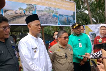 Tinjau restorasi gambut di Dumai, Wamen LHK: Sekat kanal perlu diperbanyak