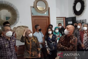Menteri minta pemda inventarisasi UMKM guna meningkatkan kapasitas usaha