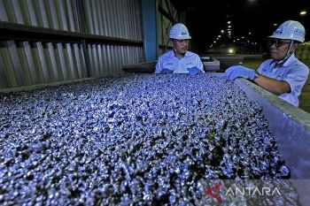 Potensi limbah terak feronikel miliki nilai ekonomi tinggi, beber BRIN