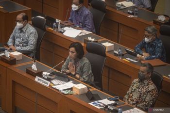 Menkeu sebut akan ada kenaikan tarif listrik 3.000 VA
