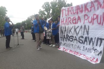 Aliansi mahasiswa Pasbar unjuk rasa terkait harga sawit dan mahalnya harga pupuk