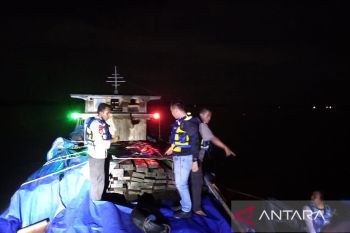 Satpolairud Meranti gagalkan penyeludupan 25 kubik kayu ke Kepri