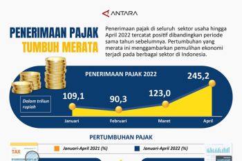 Penerimaan pajak tumbuh merata