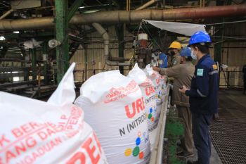 Stok pupuk subsidi di Lampung tercatat 44.663 ton