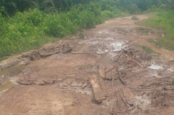 Legislator Kapuas minta ruas jalan Desa Saka Tamiang segera ditangani