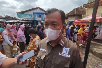Disdag Palembang: pasokan sapi terbatas  pengaruhi harga daging segar