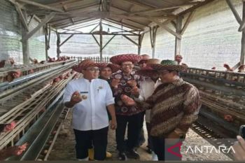 Pemkab Pamekasan mengajak UGM majukan usaha peternakan pesantren