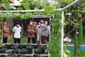 Dosen Unsri kembangkan optimalisasi pertanian perkotaan  pola 3 in 1