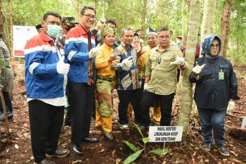 Pertamina Dumai kembangkan Kampung Gambut Berdikari di Sei Pakning